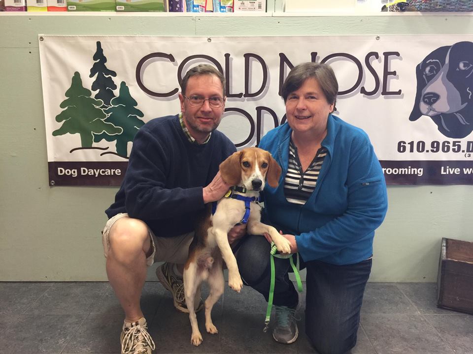 Happy adoption day at Cold Nose Lodge
