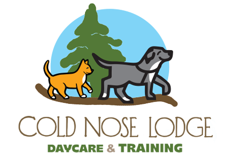 Cold Nose Lodge - Boarding and Training for Cats and Dogs