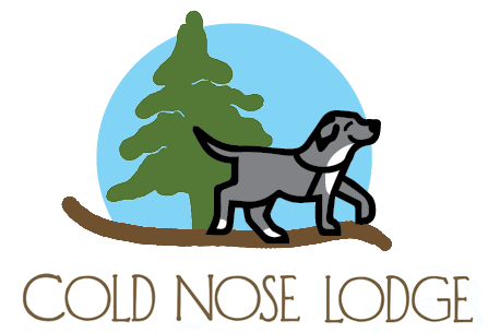 Cold Nose Lodge Dog Day Care and Boarding