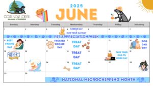 Calendar of events