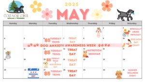 Calendar of events