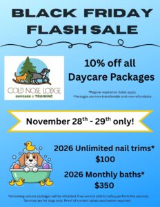 Black Friday specials