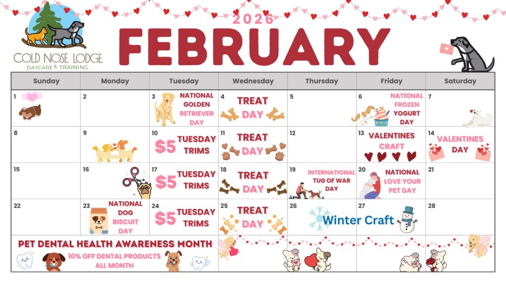 February activity calendar
