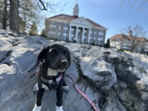 Opal visits JMU