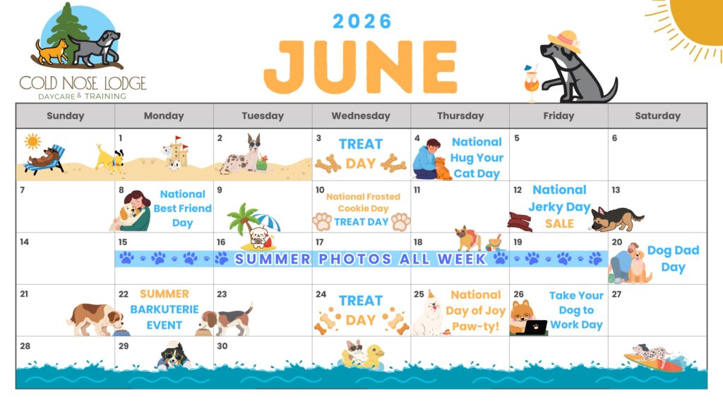 June activity calendar