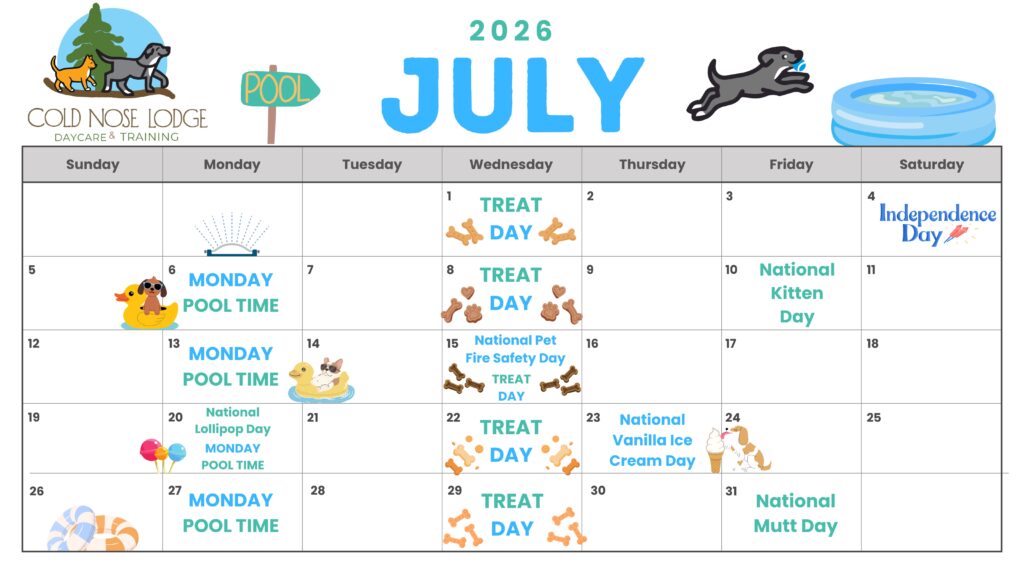 July activity calendar