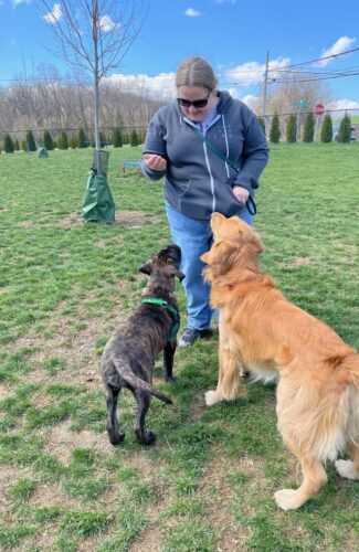 Kailly with two dogs