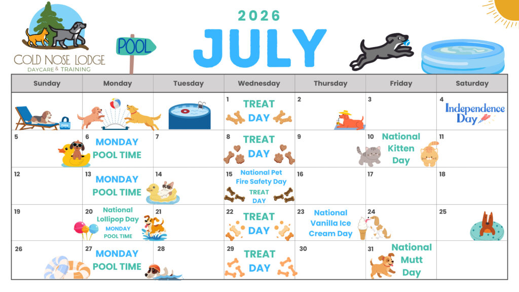 July activity calendar