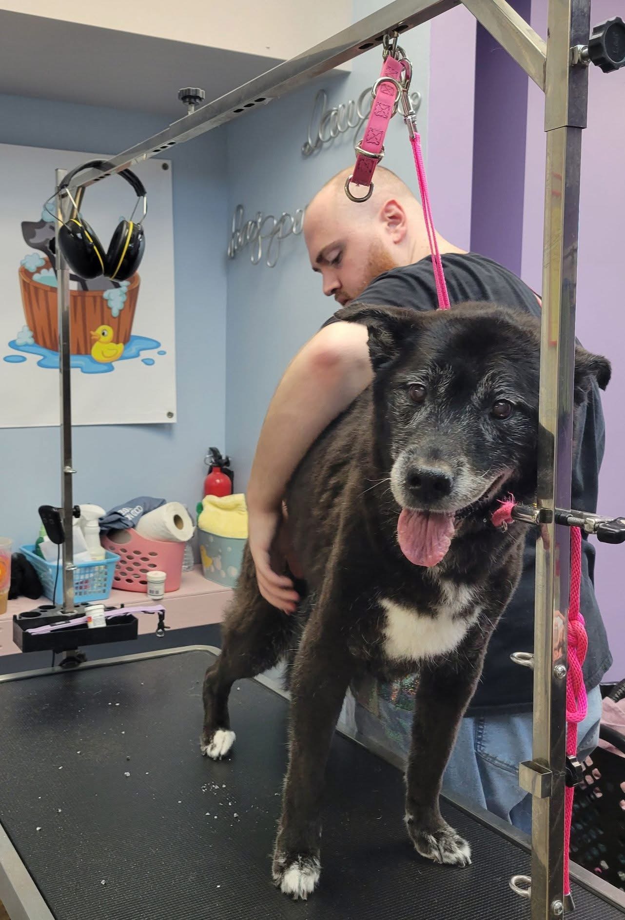 Meet our groomer, Micah!