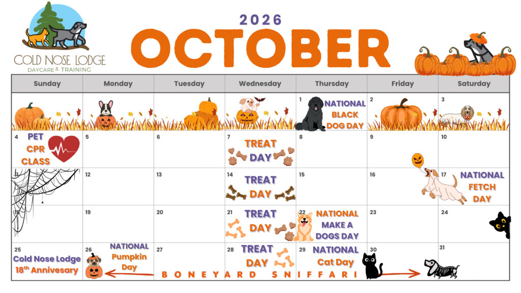 October activity calendar