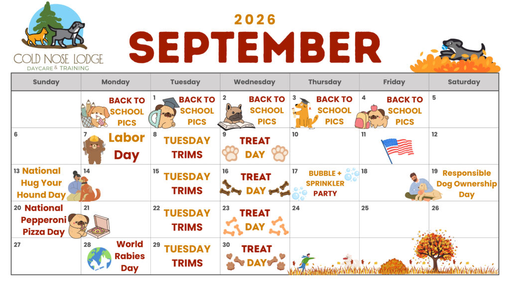 September activity calendar