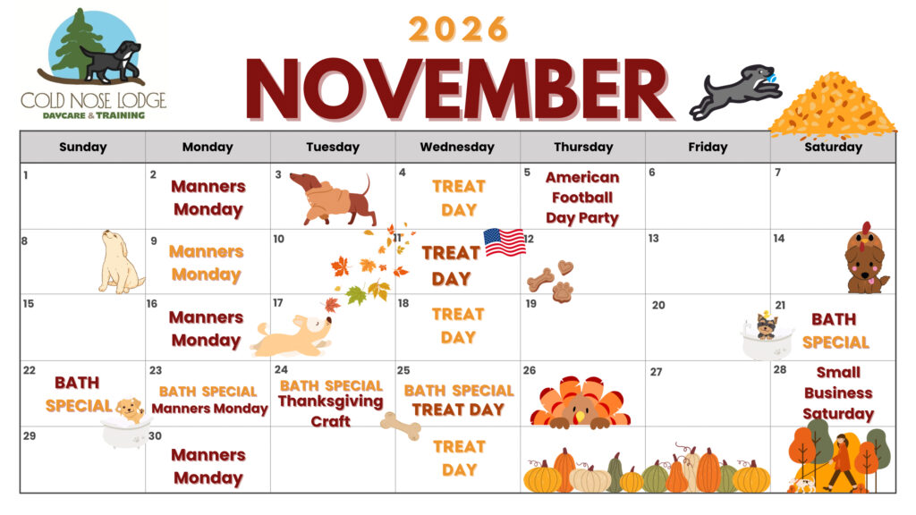 Monthly activity calendar