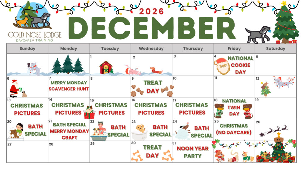 December event calendar